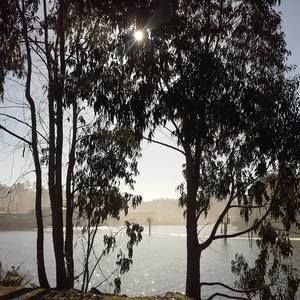 Meet your Posher, Russ-karla